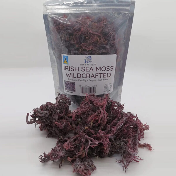 Purple Sea Moss From St. Lucia